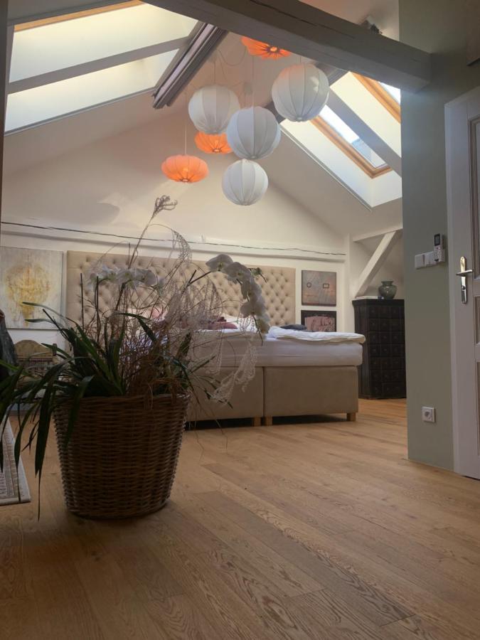 Kalina Apartments Brünn  Kültér fotó